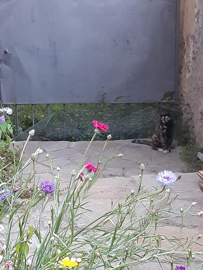 فندق La Marmotta Luserna San Giovanni المظهر الخارجي الصورة