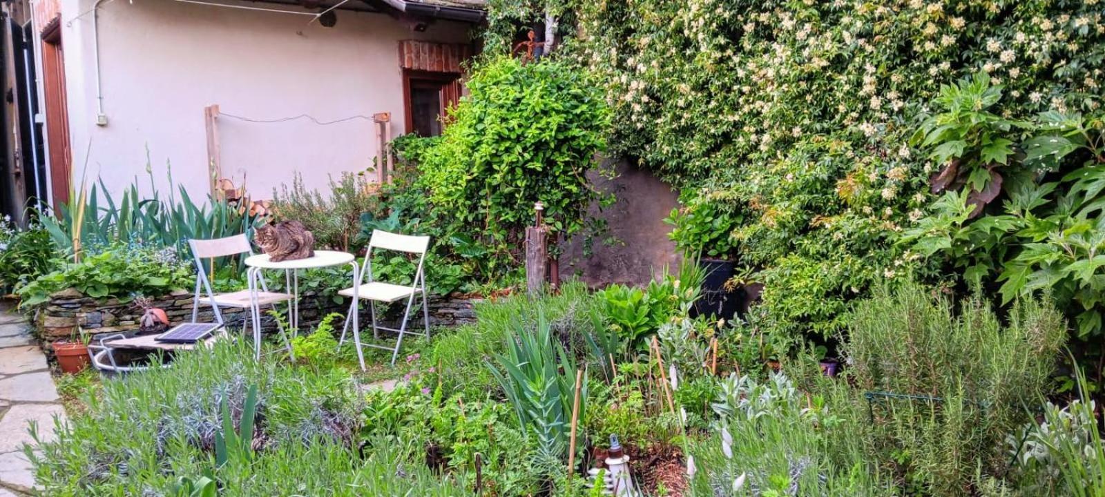 فندق La Marmotta Luserna San Giovanni المظهر الخارجي الصورة